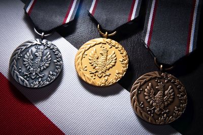 image: Medal Reipublicae Memoriae Meritum Instytutu Pamięci
Narodowej dla prof. Z. J. Winnickiego